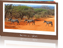 EchtFotobuch XXL-Fotobuch in 42 x 28