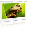 Fotokalender Kalender auf echtem Fotopapier