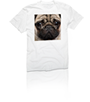 Geschenkideen T-Shirt